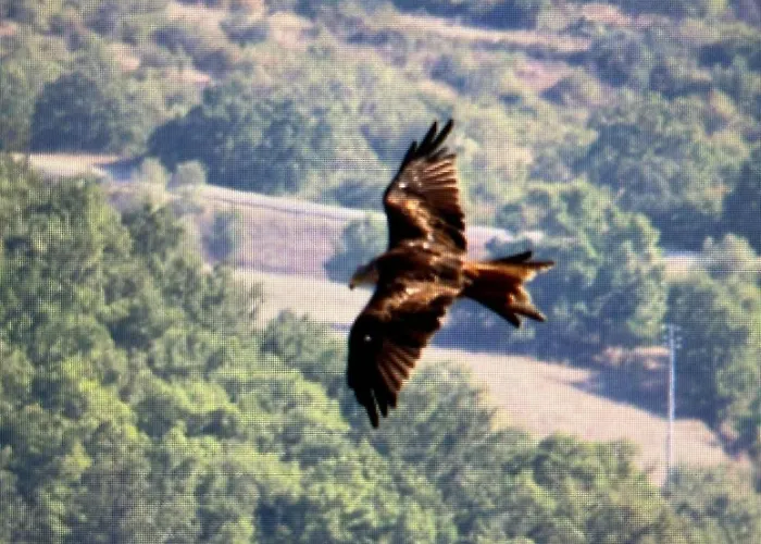 Vicolo Della Luna Nyaraló *